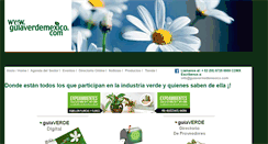 Desktop Screenshot of guiaverdemexico.com
